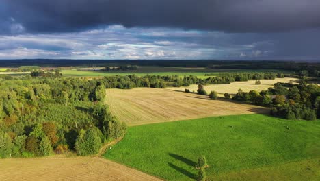 Dangerous-storm-clouds-over-crop-fields-in-golden-hour,-aerial-backwards