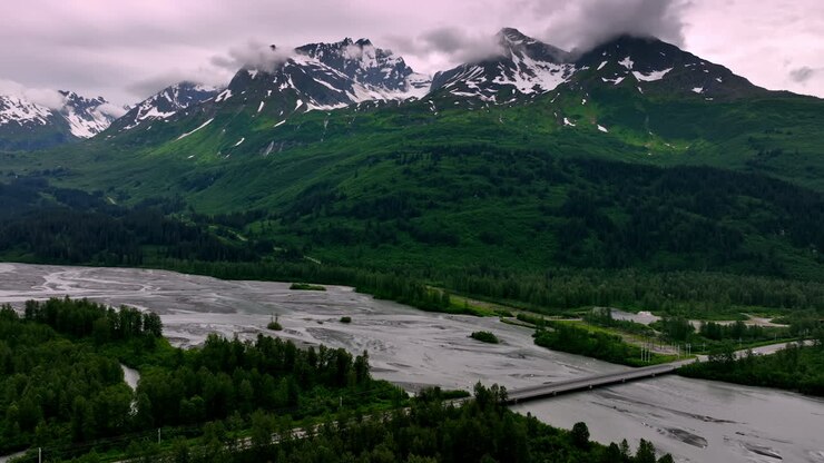 Panorami mozzafiato dell'Alaska. Montagne maestose si ergono sopra una vegetazione lussureggiante e un fiume serpeggiante, catturando la bellezza del terreno selvaggio dell'Alaska.