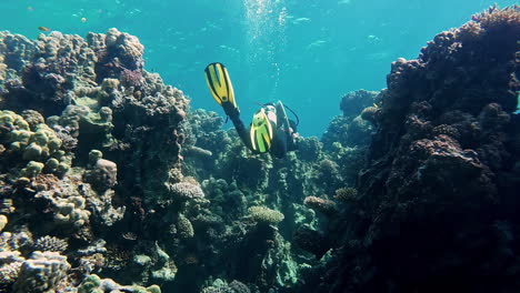 scuba diver swimming between mounds of colorful coral