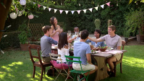 friends making a toast at outdoor backyard party shot on r3d