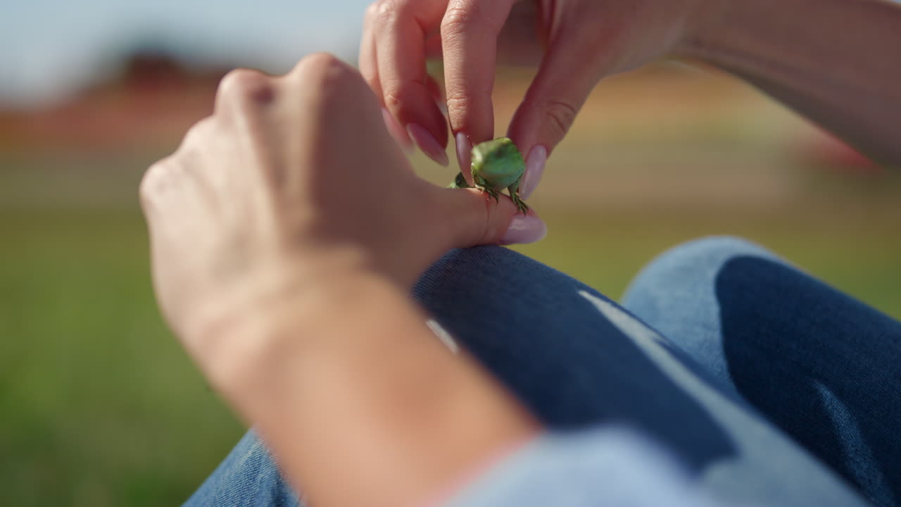 여자 손에 있는 장히 가까운 도마, 여자 손가락에 있는 야생동물, 야외.