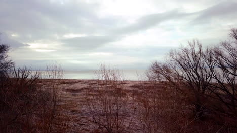 Flying-over-trees-and-a-marshy-area-towards-a-vast-lake-in-winter-or-fall