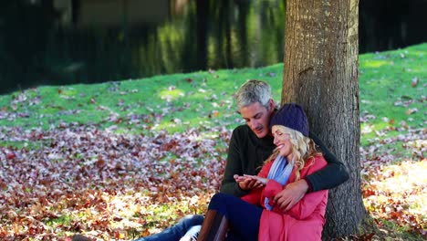 couple romancing under the tree