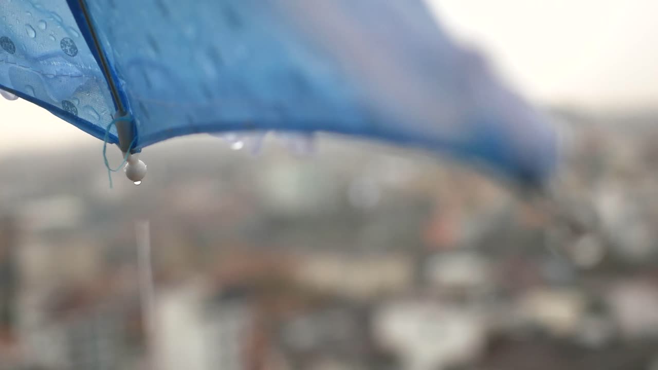 비가 오는 날 우산