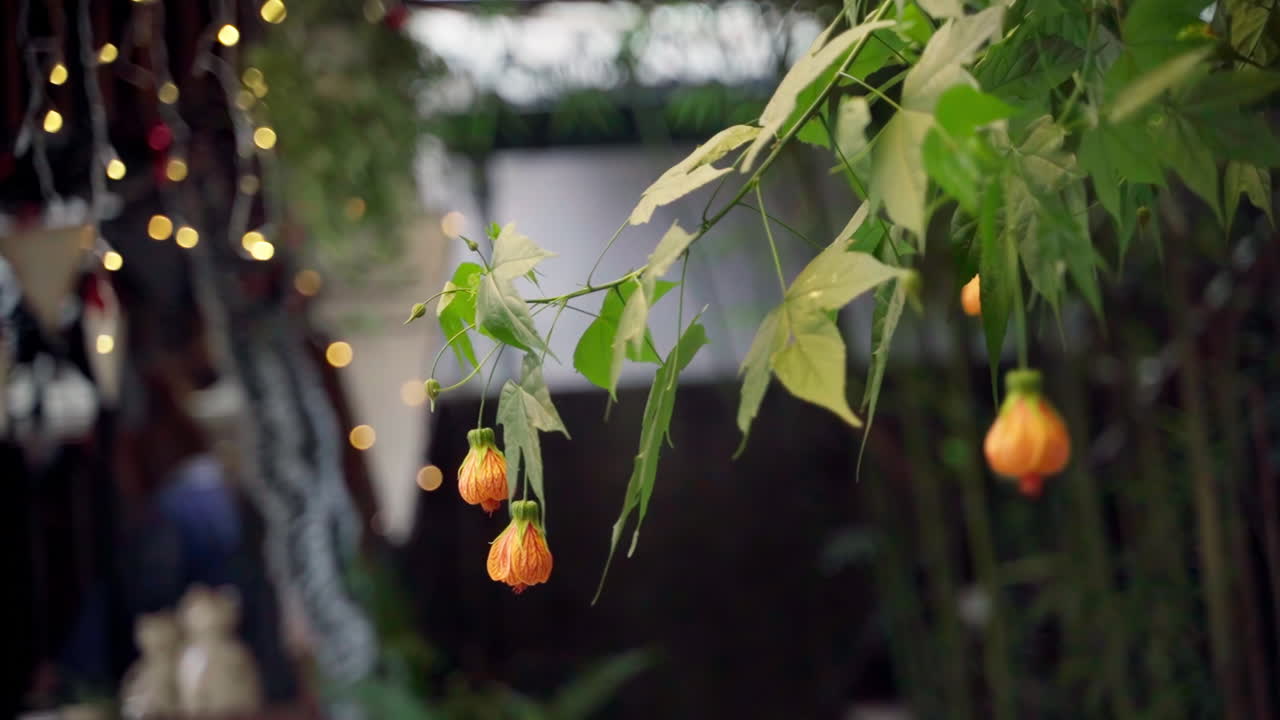 바람에 흔들리는 꽃 단풍나무 가지