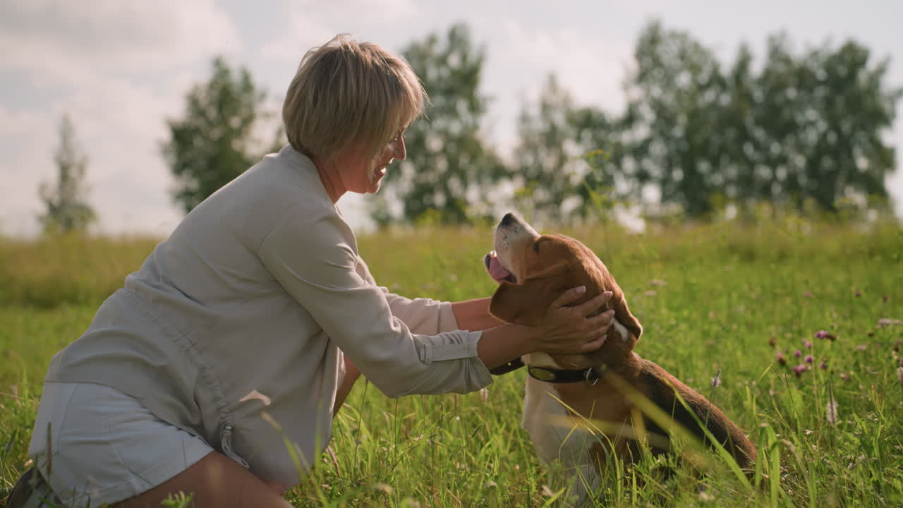 Dog owner squatting in grassy field affectionately rubs dog's head while dog licks its mouth happily on a bright sunny day, surrounded by lush greenery and nature