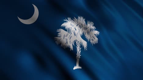 flag of south carolina