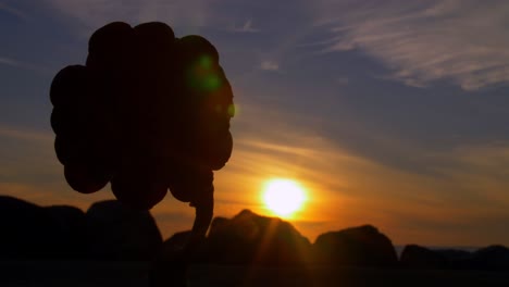 miramar restaurant sunset and the silhouette of a flower