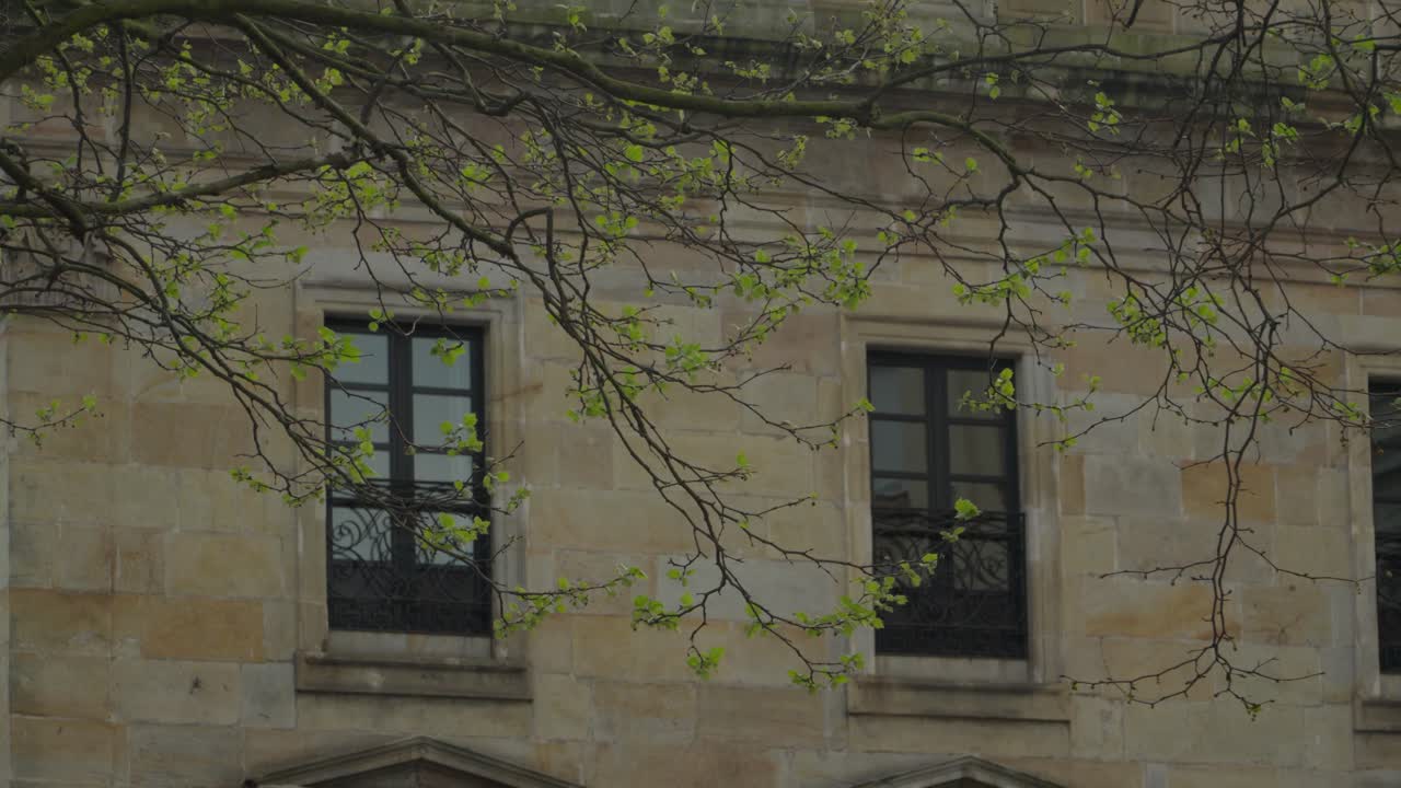 Esterno di un edificio rustico in pietra con finestre tradizionali incorniciate da freschi rami di alberi primaverili a Gijón, Spagna. Architettura europea d'epoca con fogliame stagionale naturale.