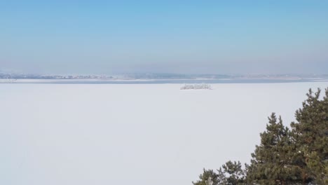 Einsamer-Grüner-Baum-Inmitten-Einer-Nebligen-Weißen-Landschaft-Auf-Der-Vogelinsel-An-Einem-Wintertag---Mittlere-Aufnahme-Nach-Unten-Kippen