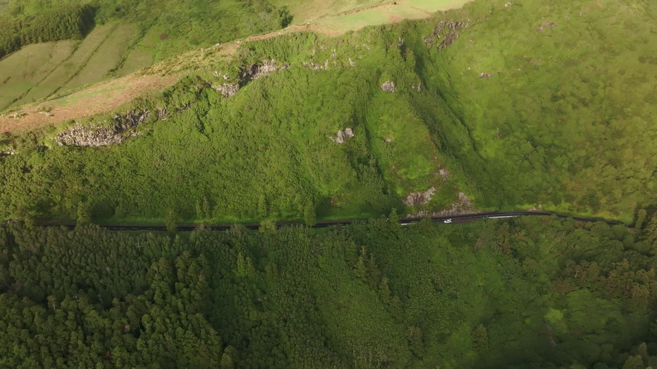 coche conduce a lo largo de la carretera contra el telón de fondo de la naturaleza verde en flores azores