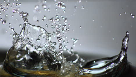 parsnip dropping into water