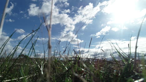 timelapse of clouds passing overhead from ants point of view looking past grass grass in open grasslands