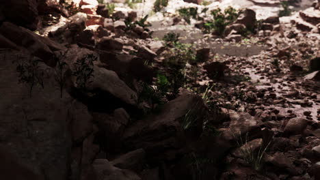 view from inside a dark cave with green plants and light on the exit