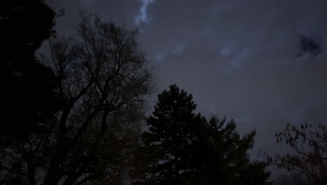 A-night-time-lapse-of-clouds,-backlit-by-the-moon,-rushing-over-a-bare-trees-and-pine-trees-during-winter