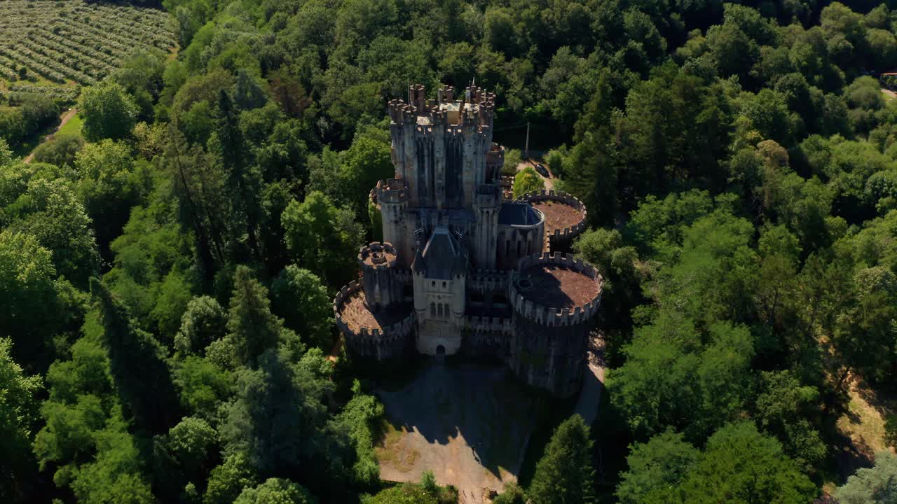 Old castle among greenery forest in summer