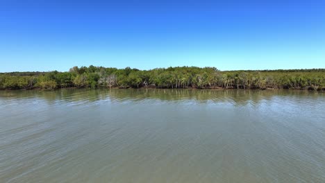 Wunderschöner-Mangrovenwald-Und-Bach-Im-Nordwesten-Australiens-4