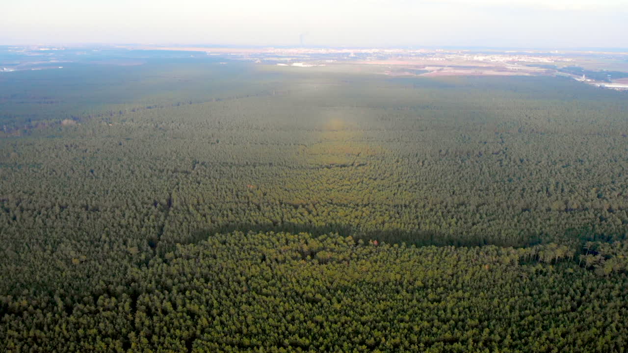 Aerial View of a Vast Green Forest