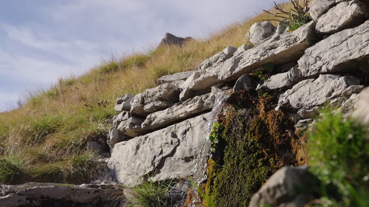 Fresh water from a mountain spring trickles down mossy rocks, static shot in slow motion