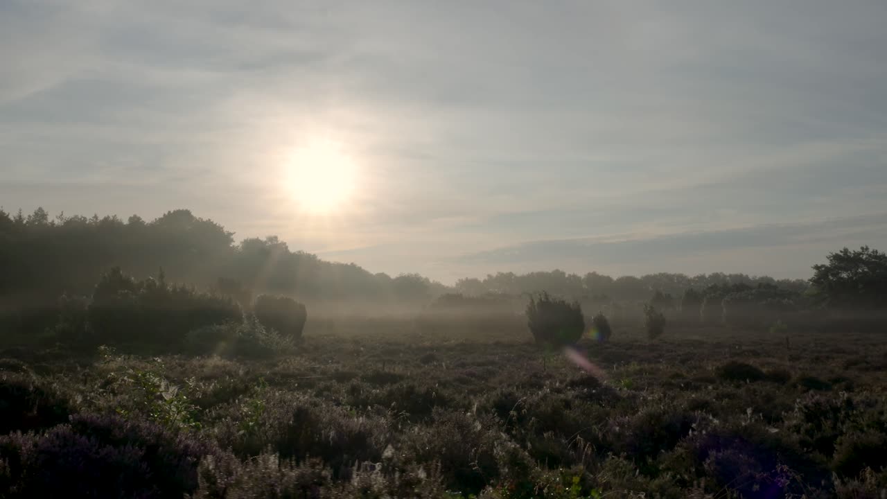 amanecer brumoso sobre el paisaje del páramo