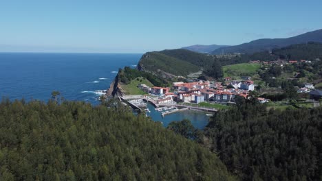 aerial flies over coastal hill forest to small port village marina