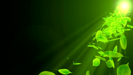 spin of falling green leaves,cg animation,loop