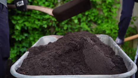 compost being loaded into wheelbarrow by two people, close up shot