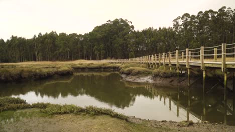 Camino-De-Comida-De-Madera-De-4k-Sobre-Un-Estanque-De-Marea-Baja-En-La-Ria-De-Aveiro-En-El-Estuario-Del-Río-Vouga