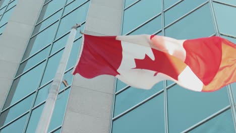 bella bandiera canadese che vola davanti a un alto edificio di vetro nel centro di ottawa, ontario, canada