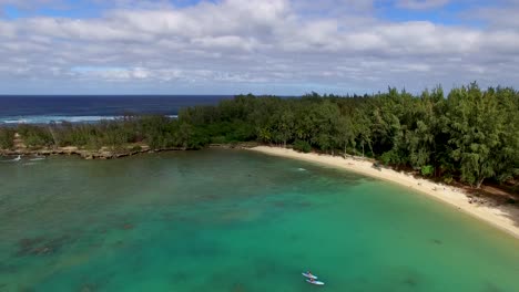 Toma-Aérea-De-Las-Aguas-Turquesas-Hawaianas-Del-Parque-De-Hayas-De-La-Bahía-De-Kawela-Cerca-Del-Resort-De-La-Bahía-De-Tortugas