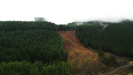 Bare-slope-of-hill-in-Marlborough,-New-Zealand-after-cutting-of-trees-in-deforestation-process