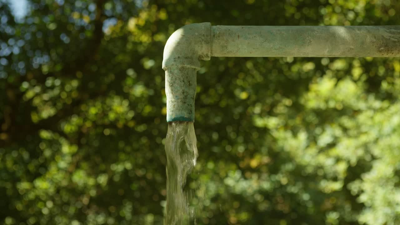 L'acqua di irrigazione fluisce e alimenta gli alberi di un frutteto di avocado, supportando una crescita agricola sostenibile