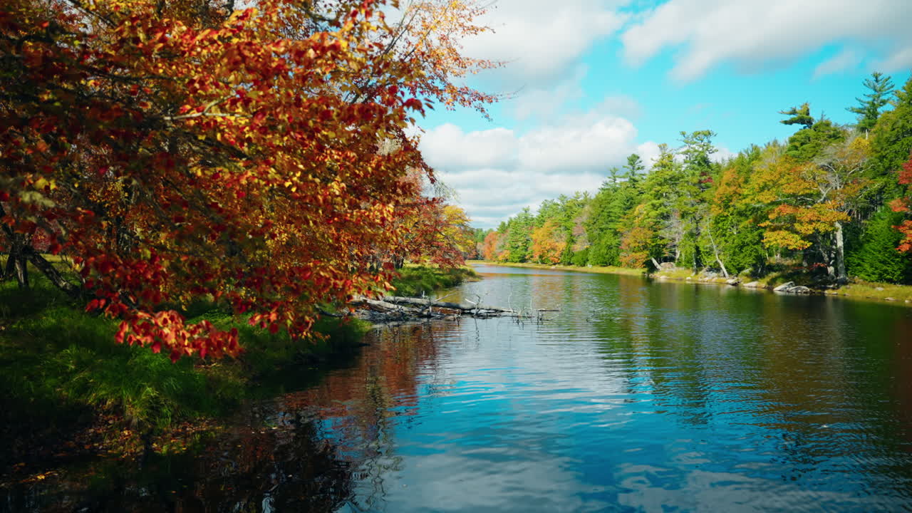 Picturesque view of the Kejimkujik National Park in autumn. View of the river and colorful tree foliage. Scenic landscape. Serene wilderness sanctuary. Dense forest and pristine lakes.