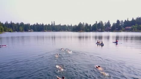 aerial shot - a group of swimmers going towards the other side of a lake, accompanied by canoes and paddleboards