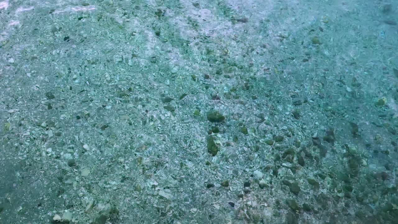 얕은 곳의 맑은 물은 모래 바닥을 뒤틀고 구르며, 물이 거의 10피트 깊이인데도 겨우 2피트 깊이인 것처럼 보입니다.