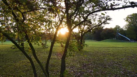 Drone-flight-across-a-beautiful-park-in-Cologne,-Germany-during-Sunset