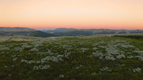 Antena-Baja-A-Través-Del-Terreno-Con-Exuberantes-Plantas-Silvestres-En-El-Parque-Nacional-De-Rondane-Durante-La-Puesta-De-Sol-En-Noruega