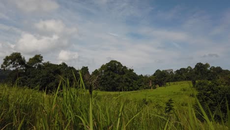 Landscape,-Bluesky,-Moving-Clouds,-People-Nature-Walking-at-a-Distance