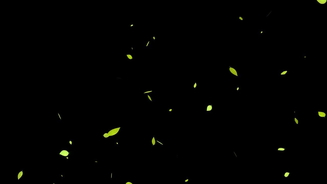 노란색 죽은 잎, 가을의 잎, 추석, 떠오르는 입자, 모션 그래픽