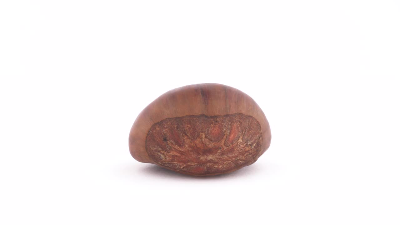 macro disparo de una castaña dulce. girando lentamente en la mesa giratoria aislado en el fondo blanco. de cerca. fotograma completo.