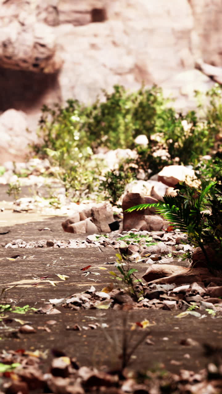 paisaje desértico rocoso con escasa vegetación