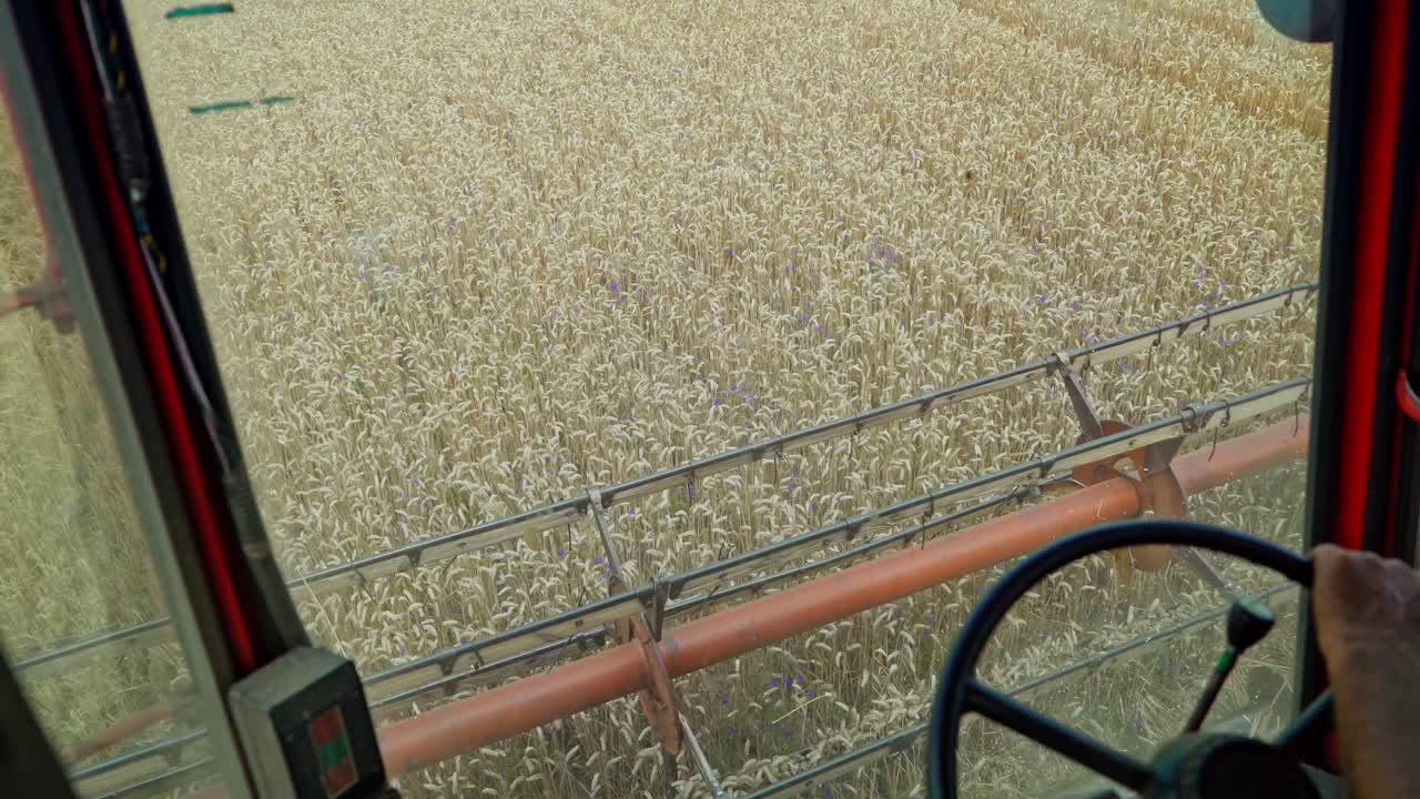 Grain harvesting equipment in the field. Harvest time. Agricultural sector