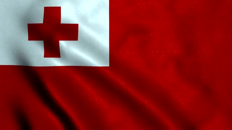 4k seamless loopable flag of tonga