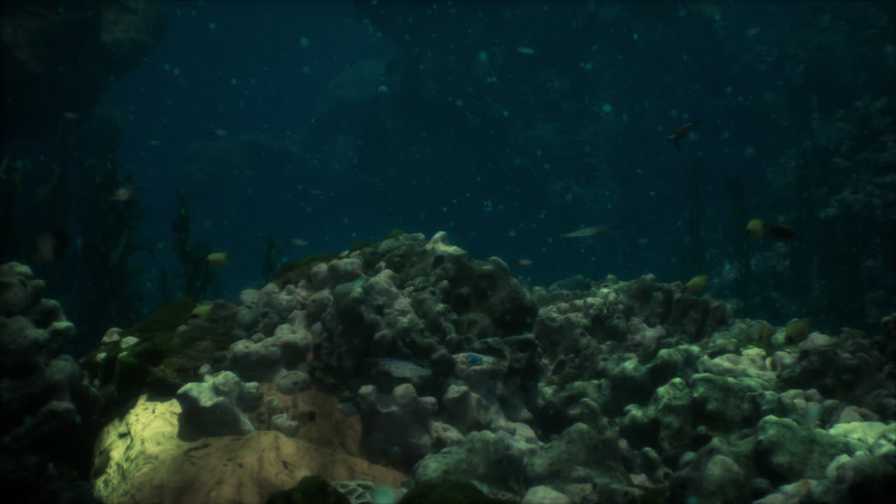 escena de un acuario submarino con corales y peces