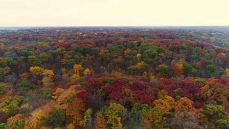 aerial dolly shot of autumn forest at ledges state park