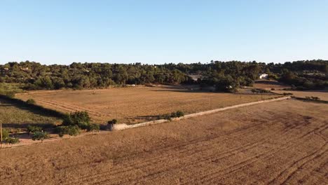 Campos-De-Cultivo-En-Las-Zonas-Rurales-De-La-Isla-De-Mallorca,-España