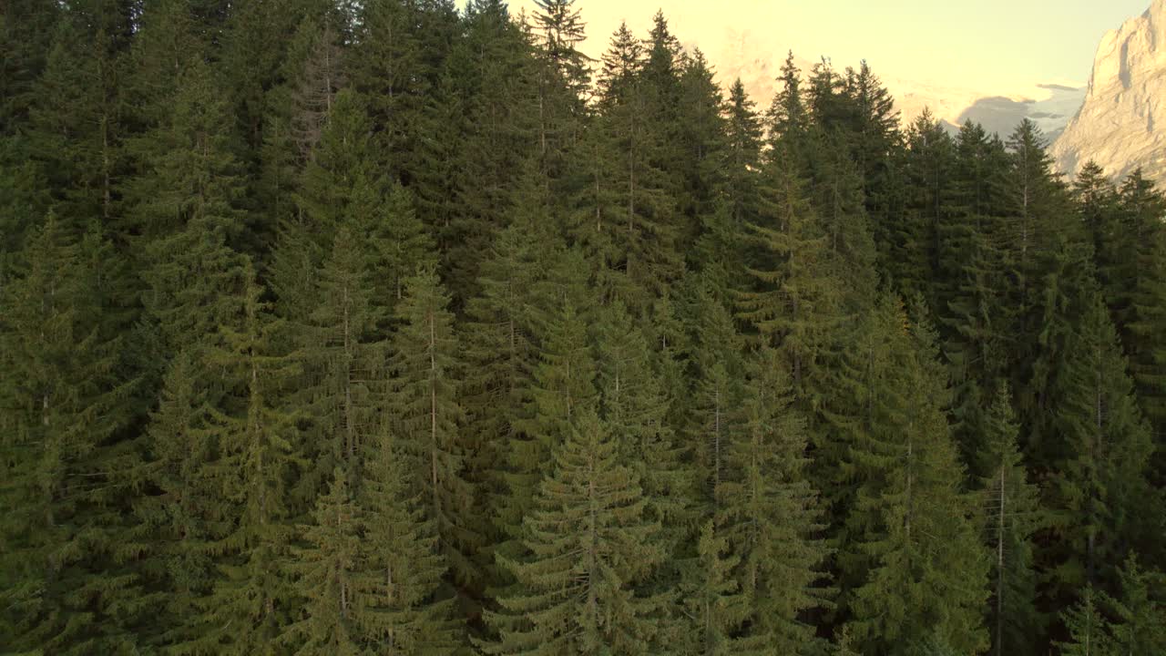 스위스 알프스의 그린델발트에 있는 웨터호른 산의 인상적인 전망을 보여주는 공중 드론 영상