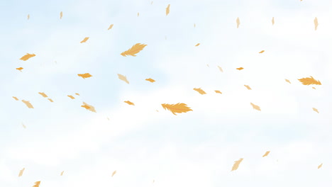 animation of orange bird feathers falling over cloudy blue sky