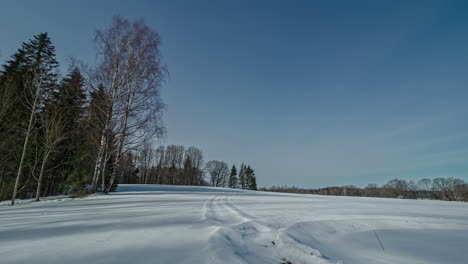 Tiro-Estático-De-árboles-Coníferos-De-Campo-Cubierto-De-Nieve-Rodeados-De-árboles-Y-Puesta-De-Sol-En-Timelapse