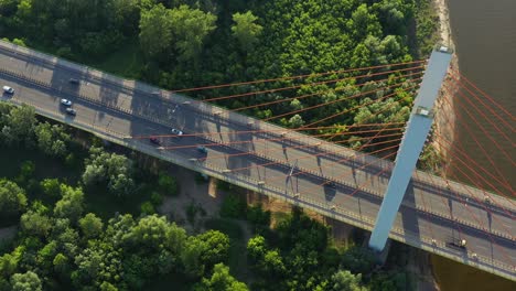 beautiful top-down shot of traffic on modern cable stayed bridge